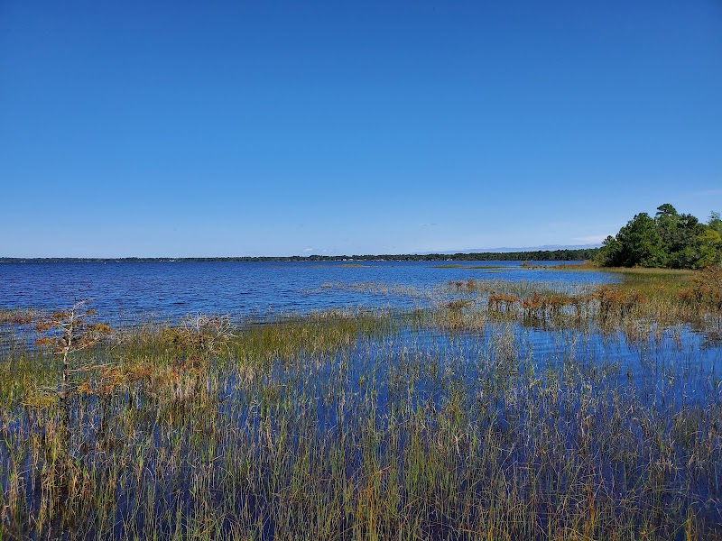 Lake Waccamaw State Park Overview - Lake Waccamaw State Park