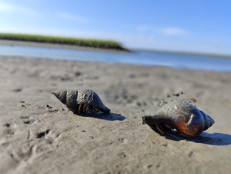 Masonboro Island Reserve surrounding landscape