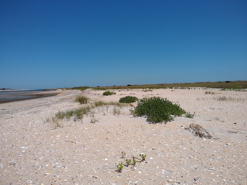 Masonboro Island Reserve - Masonboro Island Reserve