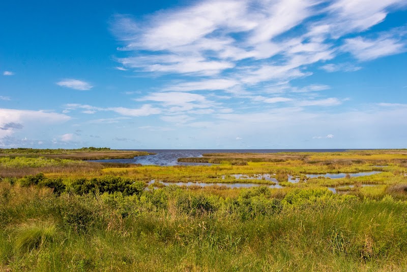 Pea Island National Wildlife Refuge surrounding landscape