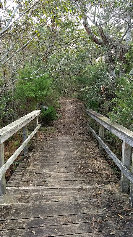 Buxton Woods Coastal Reserve - Buxton Woods Coastal Reserve
