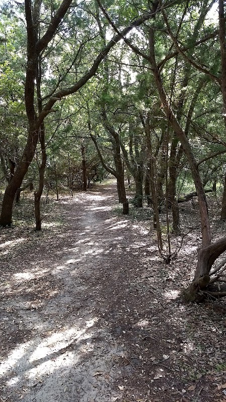 Buxton Woods Coastal Reserve surrounding landscape