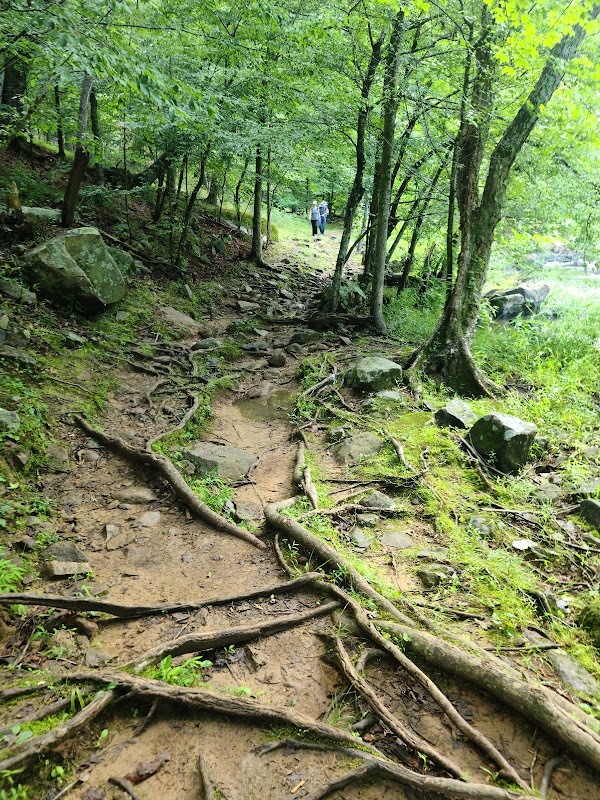 Eno River State Park, NC surrounding landscape