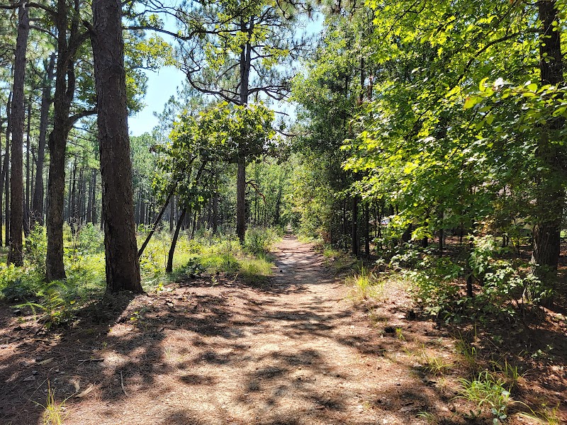 Carvers Creek State Park: A Tranquil North Carolina Escape - Carvers Creek State Park