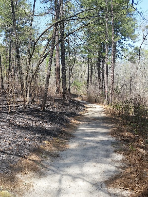 Weymouth Woods - Sandhills Nature Preserve - Weymouth Woods - Sandhills Nature Preserve