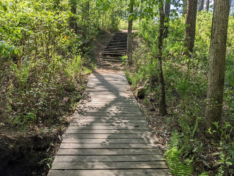 Weymouth Woods - Sandhills Nature Preserve surrounding landscape