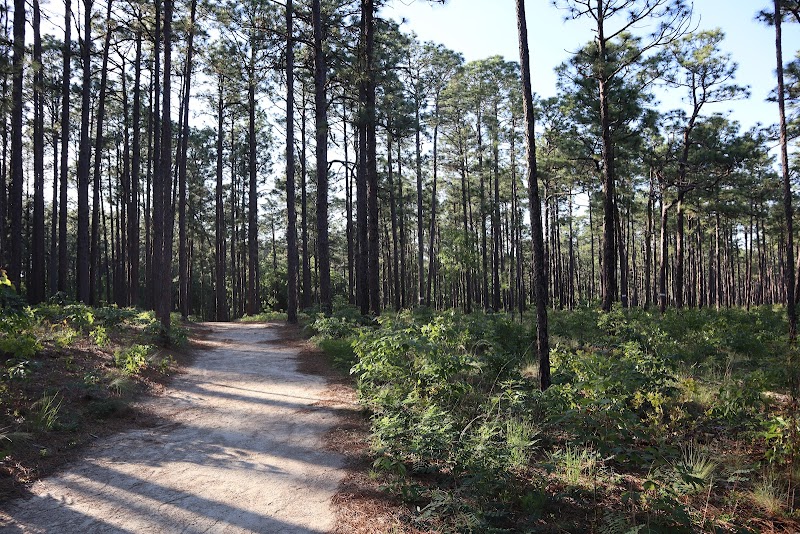 Weymouth Woods - Sandhills Nature Preserve - Weymouth Woods - Sandhills Nature Preserve