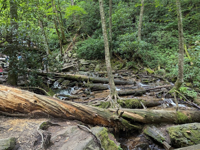 Mingo Falls - Mingo Falls