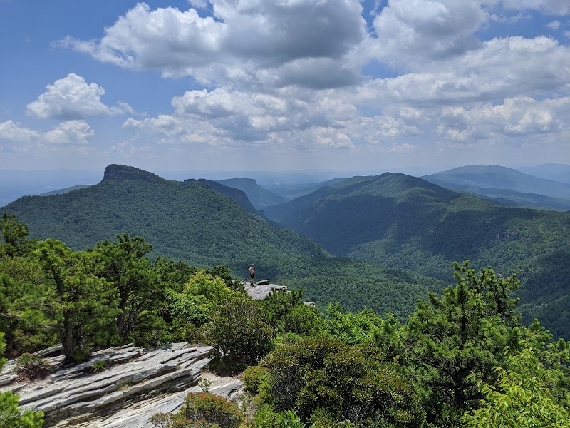 Upper Creek Falls surrounding landscape