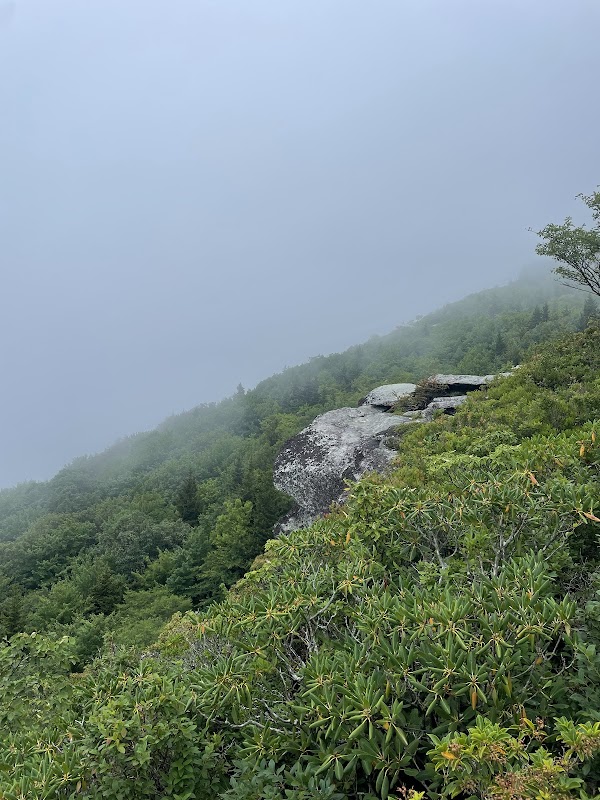 Rough Ridge - Rough Ridge