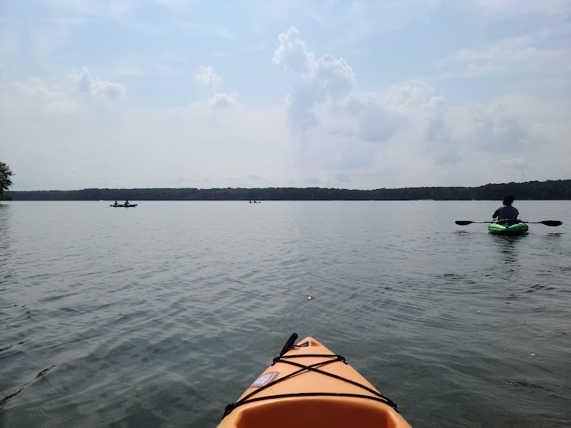 Jordan Lake State Recreation Area surrounding landscape