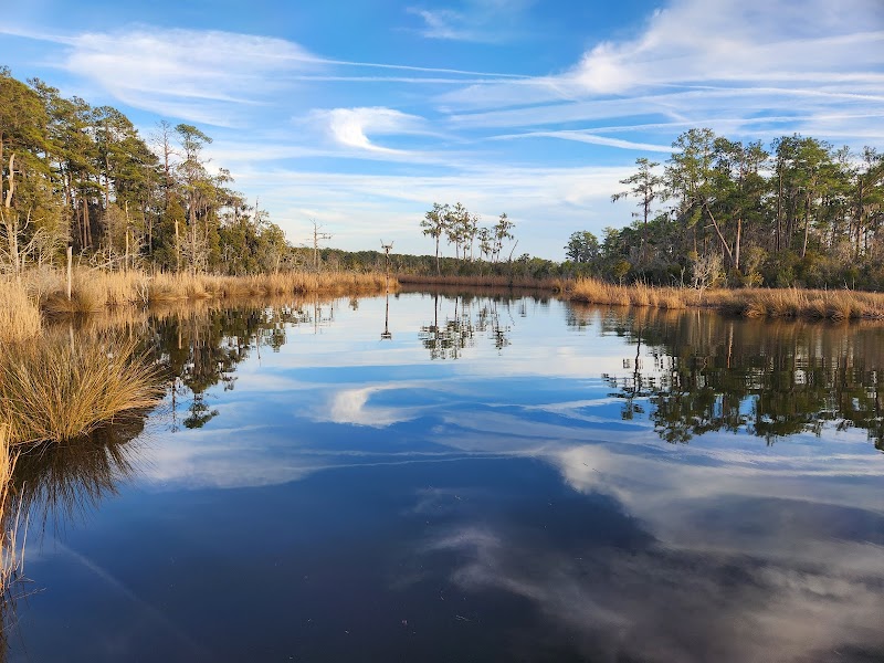 Goose Creek State Park - Goose Creek State Park