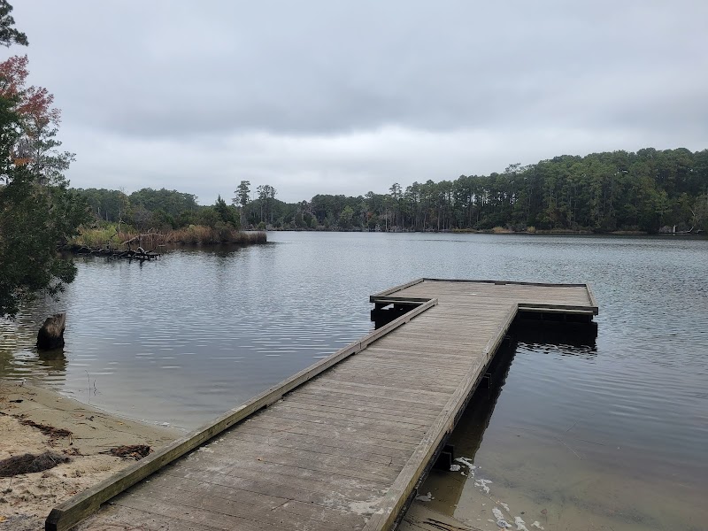 Goose Creek State Park - Goose Creek State Park
