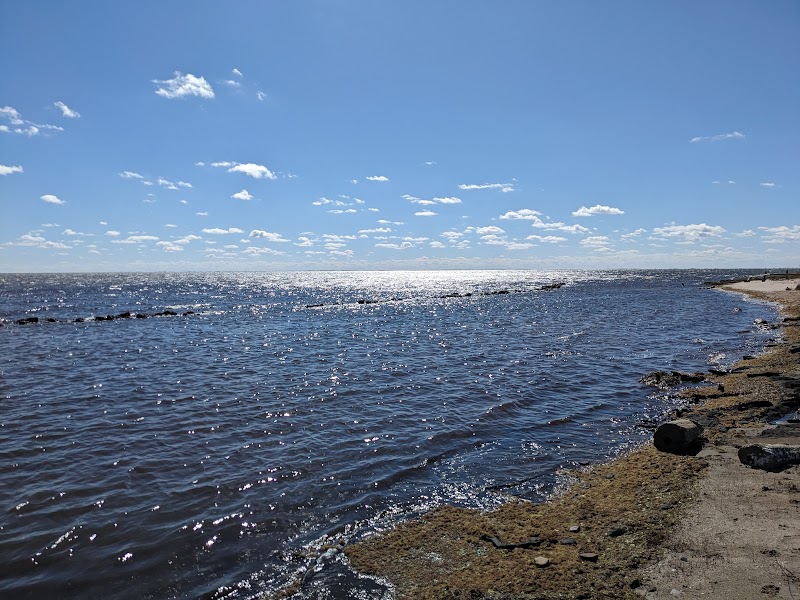 Cedar Island National Wildlife Refuge surrounding landscape