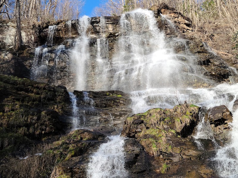 Amicalola Falls - Amicalola Falls