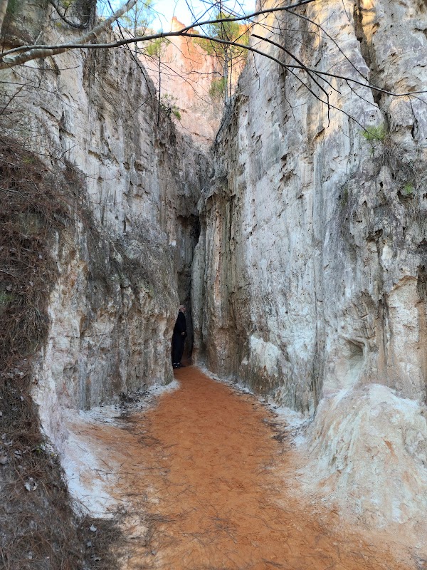 Providence Canyon State Park surrounding landscape