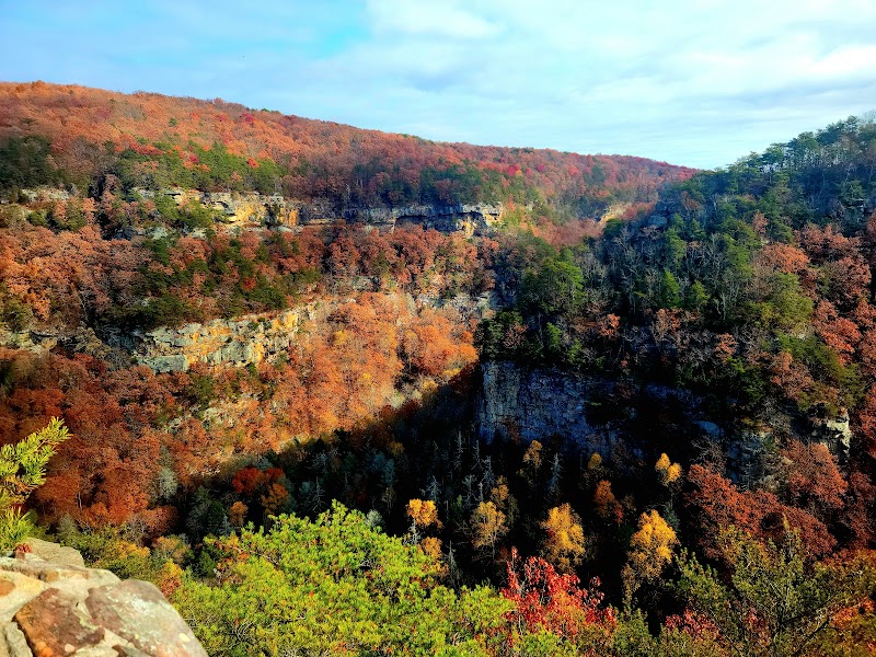 Cloudland Canyon State Park - Cloudland Canyon State Park