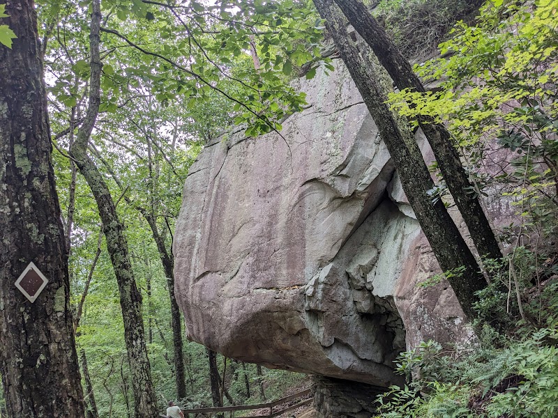 Cloudland Canyon State Park surrounding landscape