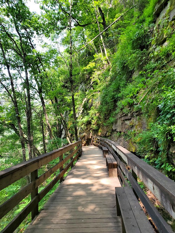 Cloudland Canyon State Park outdoor detail