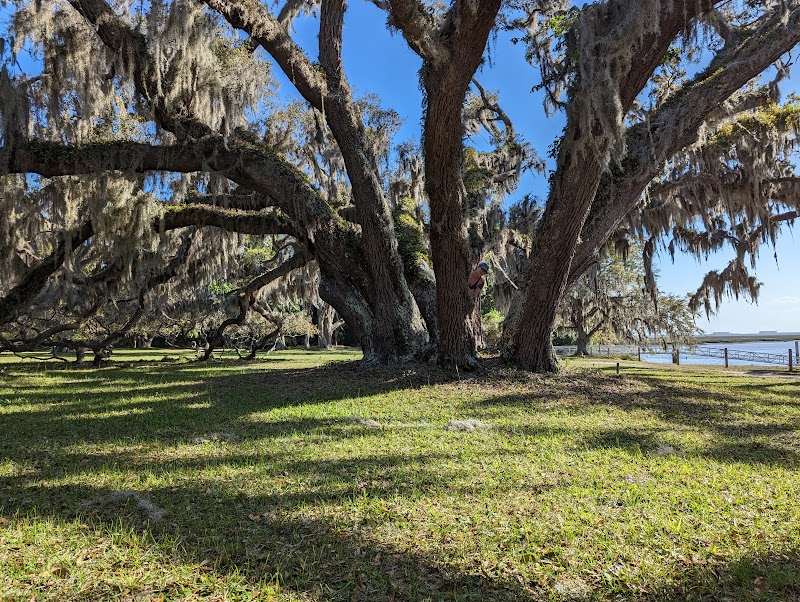 Cumberland Island National Seashore - Cumberland Island National Seashore