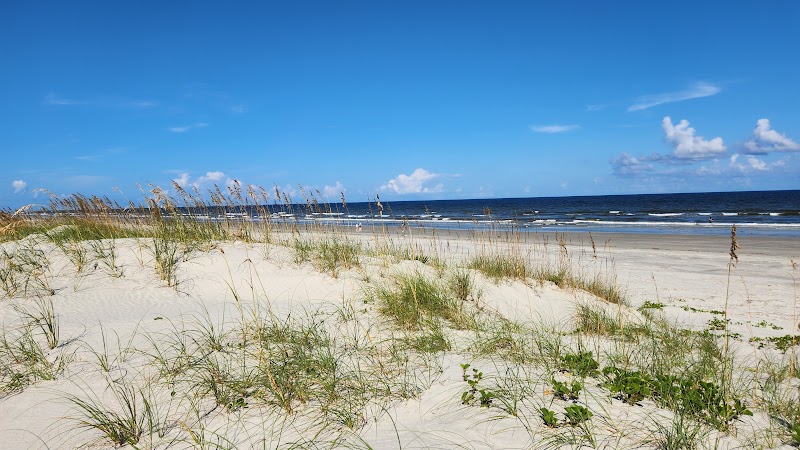 Cumberland Island National Seashore - Cumberland Island National Seashore