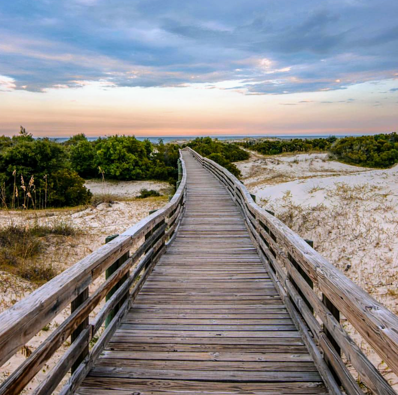 Cumberland Island National Seashore surrounding landscape