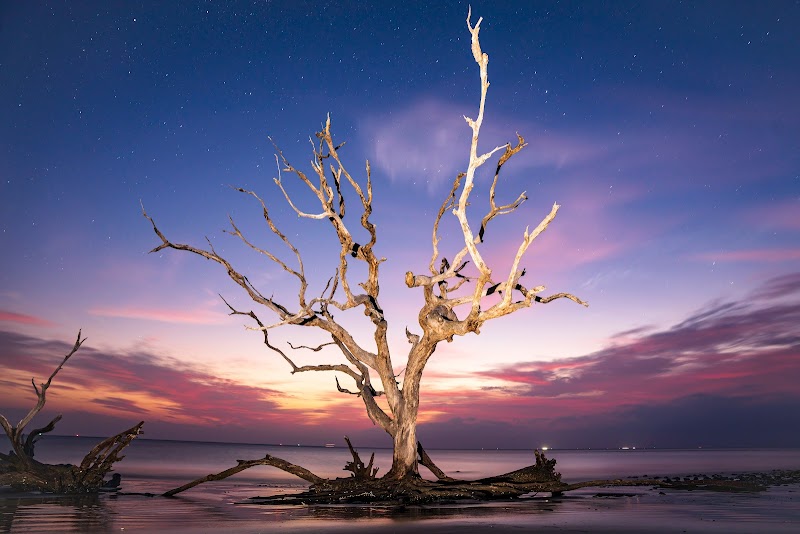 Jekyll Island outdoor detail