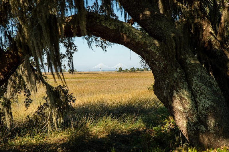Jekyll Island - Jekyll Island