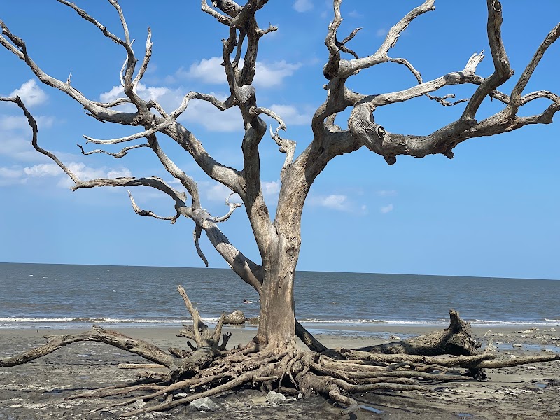 Jekyll Island surrounding landscape