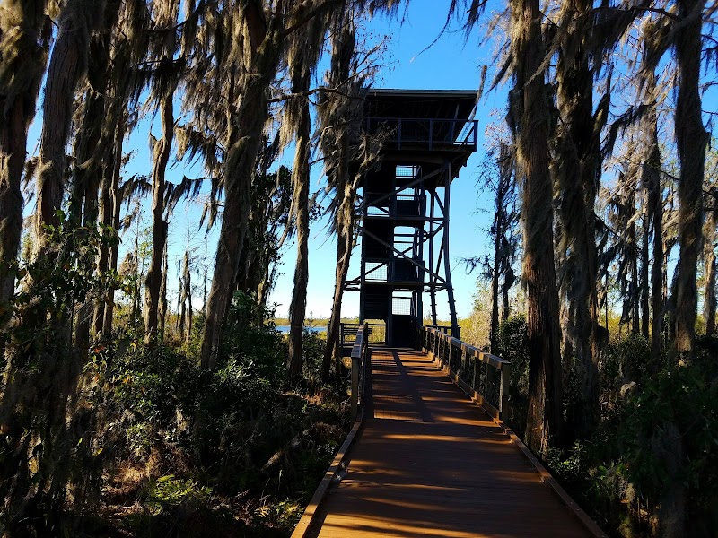 Okefenokee National Wildlife Refuge - Okefenokee National Wildlife Refuge