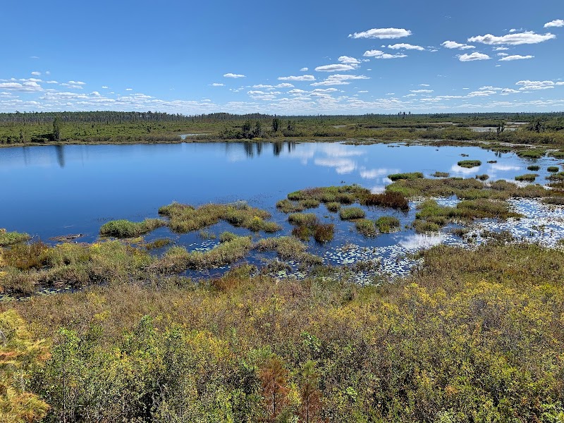 Okefenokee National Wildlife Refuge - Okefenokee National Wildlife Refuge