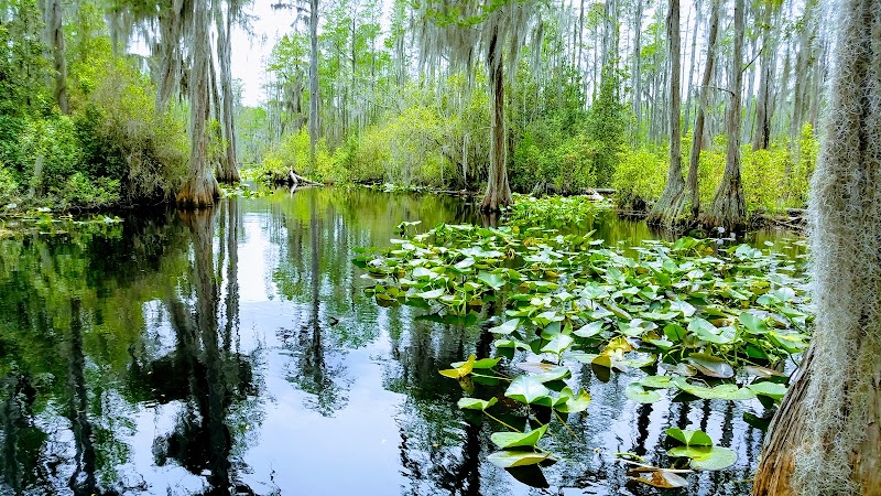 Okefenokee National Wildlife Refuge - Okefenokee National Wildlife Refuge