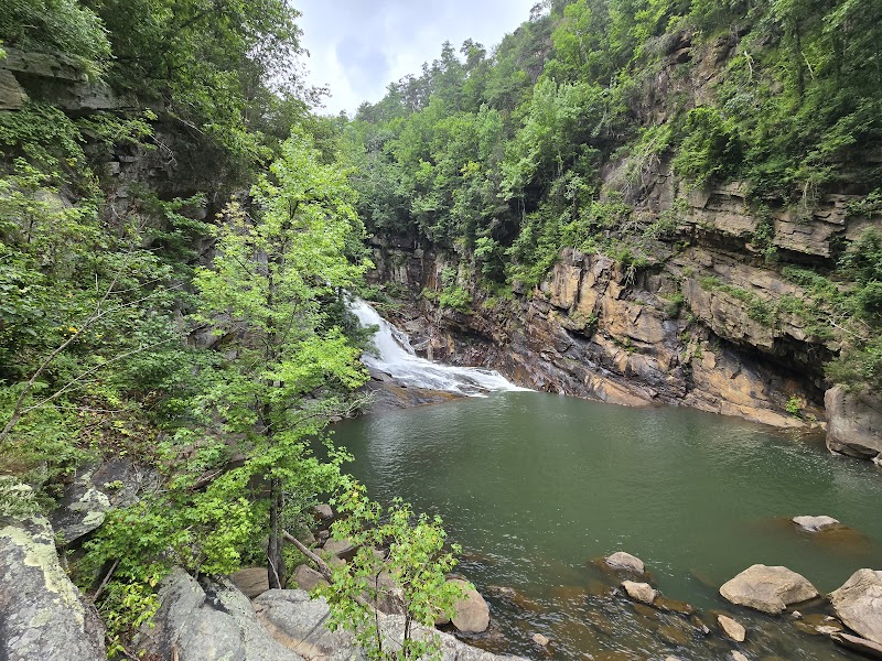 Chattahoochee-Oconee National Forest outdoor detail