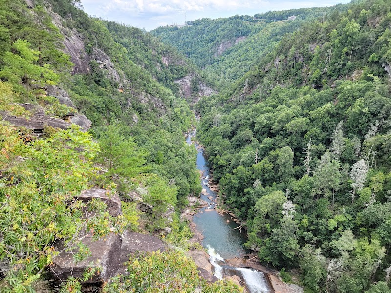 Chattahoochee-Oconee National Forest - Chattahoochee-Oconee National Forest