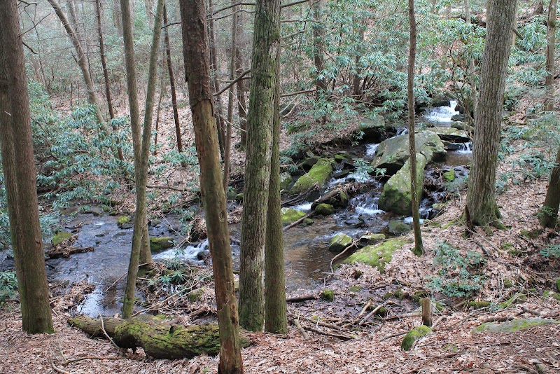 Byron Reece Trailhead Parking surrounding landscape