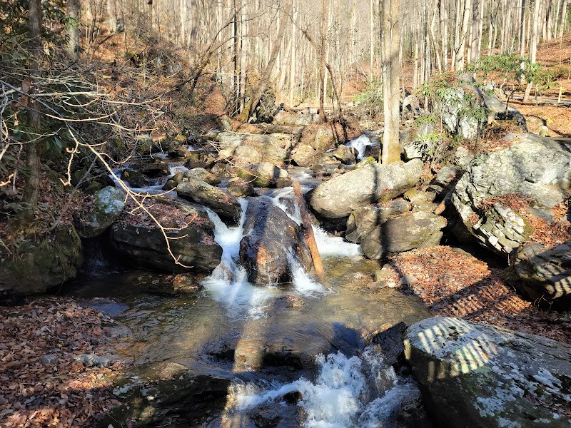 Anna Ruby Falls - Anna Ruby Falls