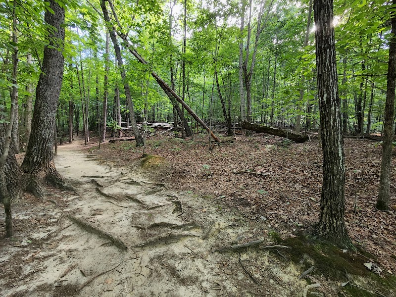 Yonah Mountain - Yonah Mountain