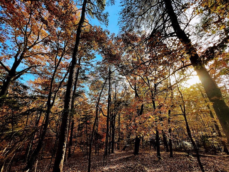 Sawnee Mt. Preserve - Sawnee Mt. Preserve
