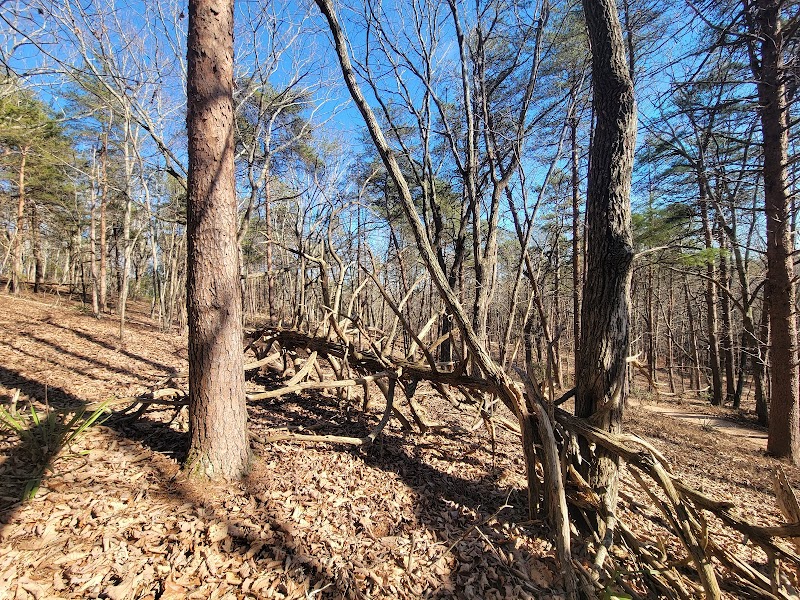 Sawnee Mt. Preserve surrounding landscape