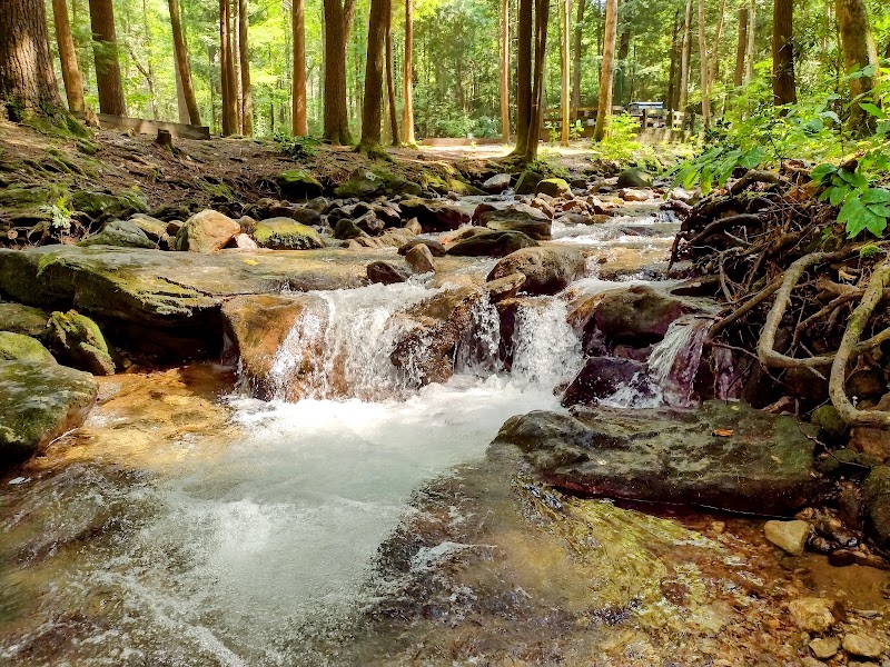 Vogel State Park - Vogel State Park