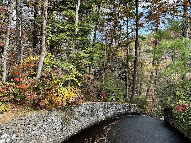 Vogel State Park surrounding landscape
