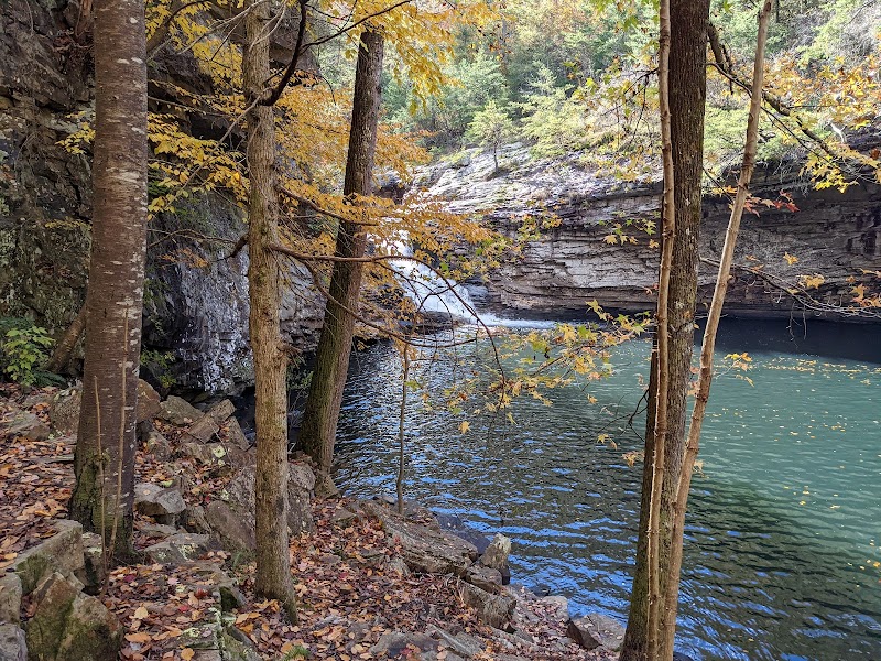 Lula Lake Land Trust: A Natural Sanctuary - Lula Lake Land Trust