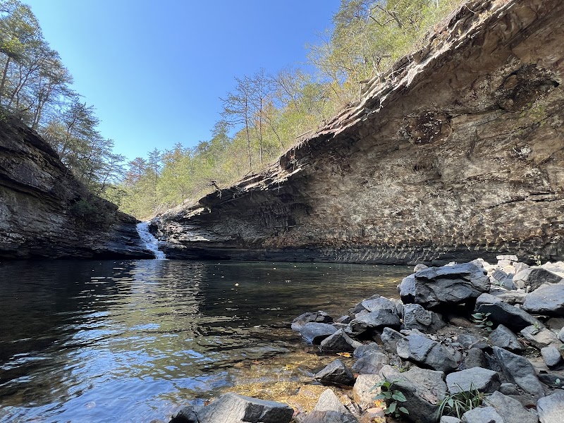 Lula Lake Land Trust: A Natural Sanctuary - Lula Lake Land Trust