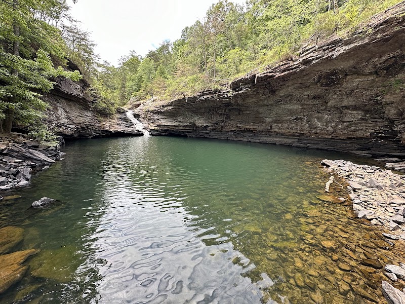 Lula Lake Land Trust: A Natural Sanctuary outdoor detail