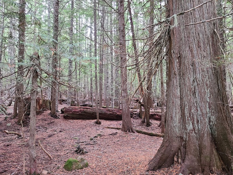 Trillium Lake - Trillium Lake