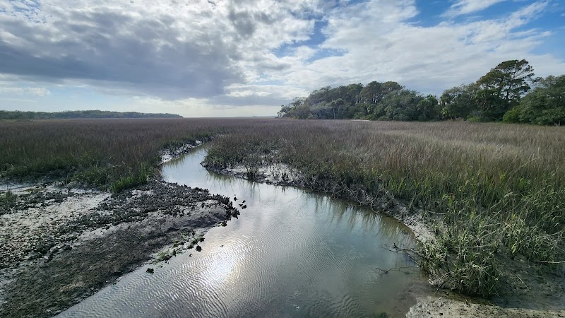 Botany Bay Heritage Preserve/Wildlife Management Area outdoor detail