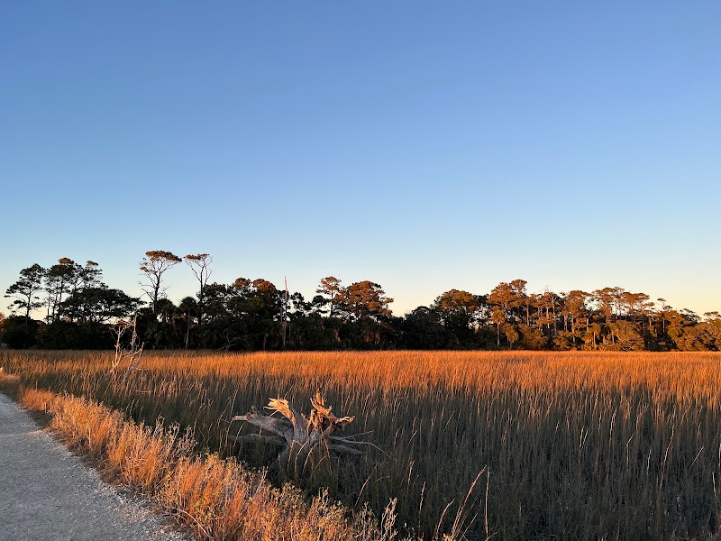 Botany Bay Heritage Preserve/Wildlife Management Area surrounding landscape