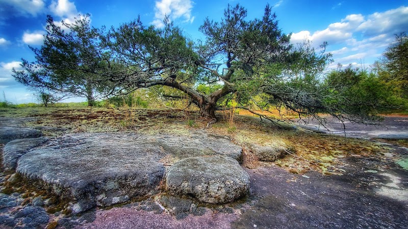 40 Acre Rock Heritage Preserve outdoor detail