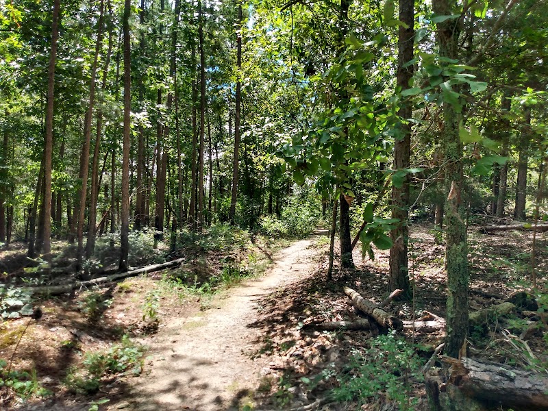 40 Acre Rock Heritage Preserve surrounding landscape