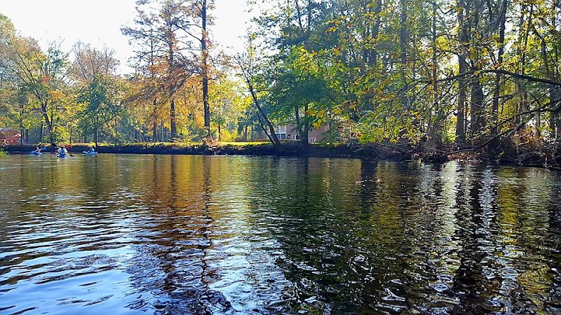 Edisto River: A Natural Haven in South Carolina - Edisto River